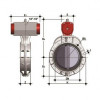 Затвор дисковый ПВХ с пневмоприводом НЗ промышленный 355 (DN350) EPDM FIP FKOVNC355E